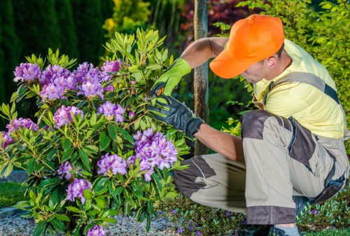 Tree surgeon website cookie policy introduction with laptop and secure browsing concept
