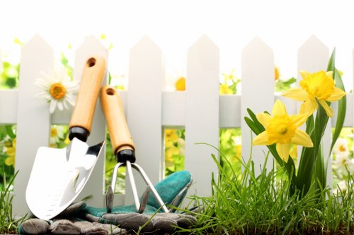 Hedge maintenance for a commercial property in Hoxton