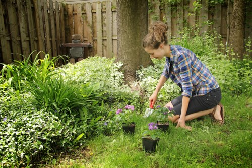 Local stump grinding work for a residential or commercial property in Hoxton